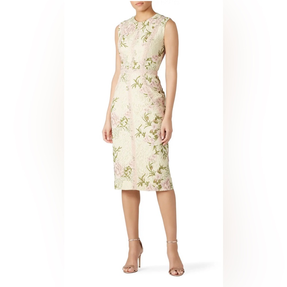 Dress the Population Floral Lace Dress in Cream and Pink